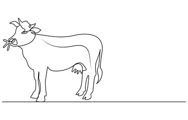 Continuous one line drawing cow