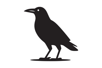 Fototapeta premium Crow vector silhouette artwork 