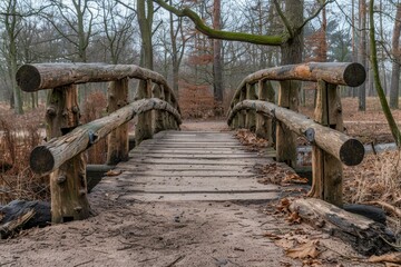 Fototapeta premium Charming wooden bridge surrounded by vibrant foliage in a serene and picturesque forest setting