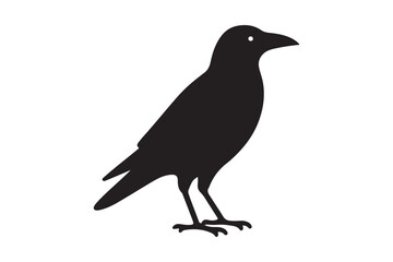 Crow vector silhouette artwork 