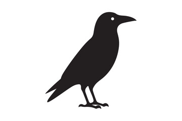 Crow vector silhouette artwork 