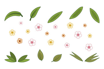 Tropical leaves and flowers set. Vector isolated elements for Hawaiian design. Green plant branches.