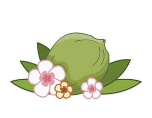 Refreshing tropical green Coconut with lay on green leaves and Hawaiian pink and yellow flowers for summer enjoyment. Isolated vector illustration.