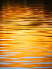 Golden sunset reflected on calm water