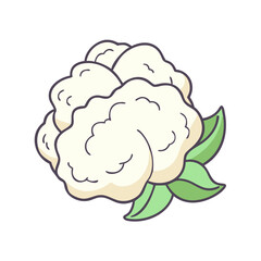 cauliflower vector icon, cauliflower vector illustration - simple illustration of cauliflower, perfect for logos and iconscauliflower 
