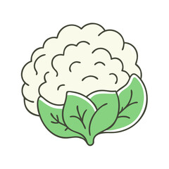 cauliflower vector icon, cauliflower vector illustration - simple illustration of cauliflower, perfect for logos and iconscauliflower 