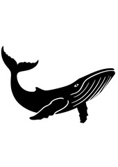 Whale
