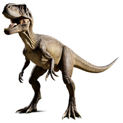 A powerful T. rex standing tall on two legs, with its massive tail extended behind, displayed against a transparent backdrop.