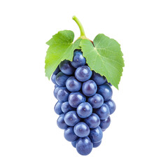 Fresh Grapes with Green Leaves isolated on white or transparent background, png clipart, design element