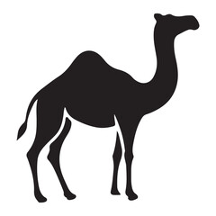 Fototapeta premium Magnificent Silhouette of a Dromedary Camel