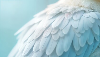 Fototapeta premium Closeup view of soft airy white bird feathers. Delicate feather texture shows soft pastel colors. Fluffy feathers form wing pattern. Light, airy feel. Natural beauty of delicate wing. Ideal for