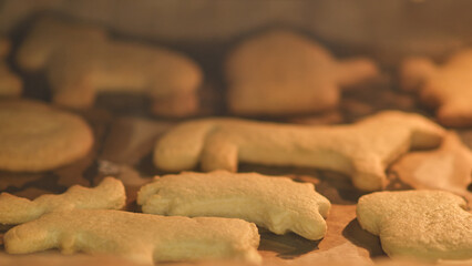 Animal-shaped cookies baking on parchment paper inside the oven. Close-up shot of freshly baked homemade cookies in various animal shapes. Holiday baking treats preparation concept.