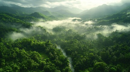 Obraz premium Misty mountain valley with lush green forest and river.
