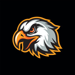 Head of an aggressive eagle.vector illustration on a black background