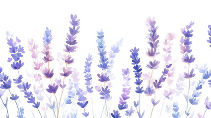 Lavender transparent background