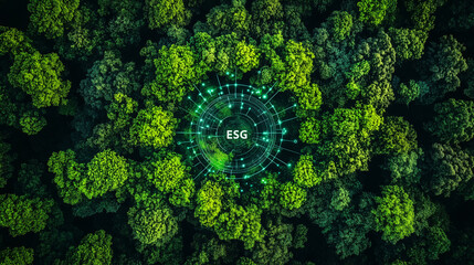 ESG icon concept, environment society and governance, energy of natural gas sustainable and ethical business on network connection on green background.