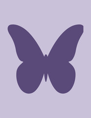 butterfly illustration