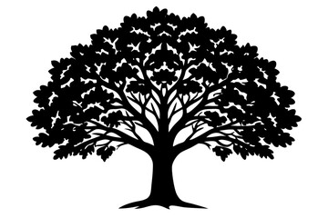 Obraz premium silhouette of tree