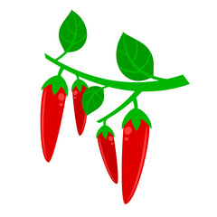 A simple and colorful vector illustration of a red chili pepper with a green stem and leaf, symbolizing spice, heat, and flavor.