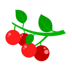 A simple and colorful vector illustration of three red cherries on a stem with green leaves, symbolizing freshness, summer, and a healthy snack.