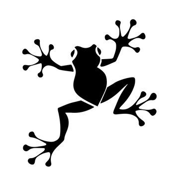 froge vector silhouette animal