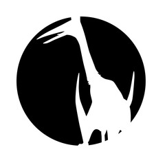 Pterodactyl black and white © Janaloka