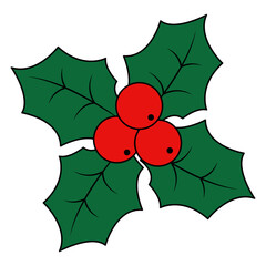 Christmas Holly Berries Illustration