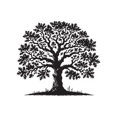 Fototapeta premium Oak tree silhouette black fill vector on white background