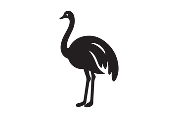 Minimal ostrich bird vector silhouette 