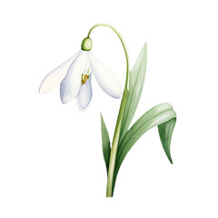 Fototapeta premium Beautiful Flower Clipart Vector Illustration - Floral Design for Graphics