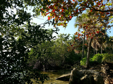 Waterway in Florida