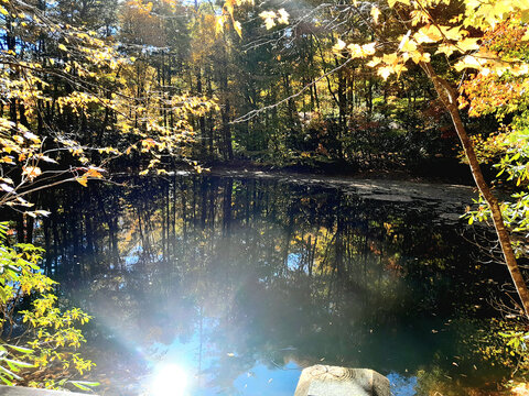Fall Pond Reflecting the Sun