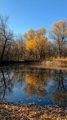 Tranquil Autumn Scene with Reflections in Calm Water Surface