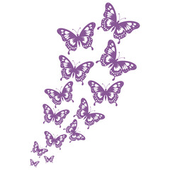 Flying Butterflies Illustration
