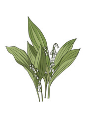 Lily of the valley May birth month flower colorful vector illustration. Modern minimalist hand drawn design for logo, tattoo, packaging, card, wall art, poster. Isolated on white background.