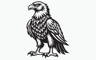 Eagle silhouette black