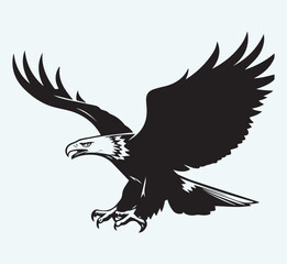 Eagle black silhouette art