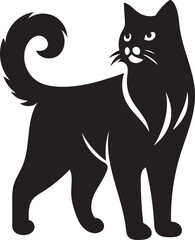 black cat illustration