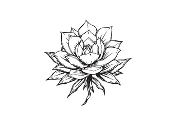 Obraz premium Hand-drawn Succulent Ink Element, Black and White Artistic Sticker for Home Decor