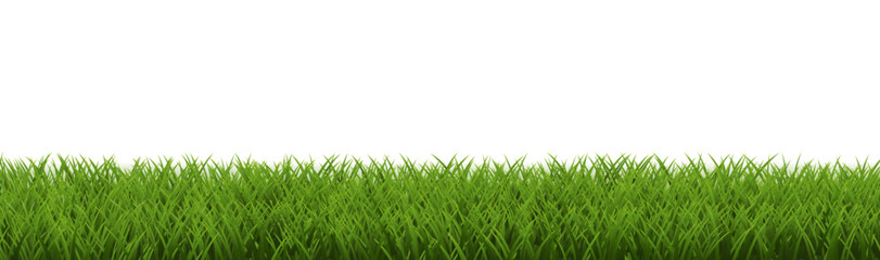 Grass Frame White And Transparent Background