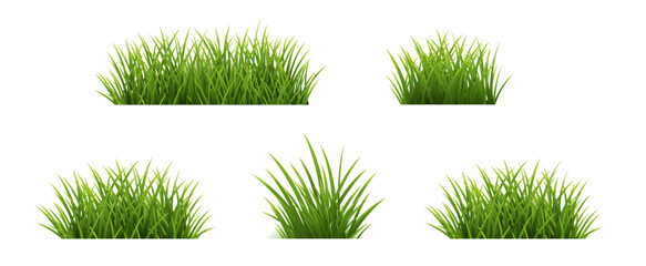 Green Grass Set Isolated Background