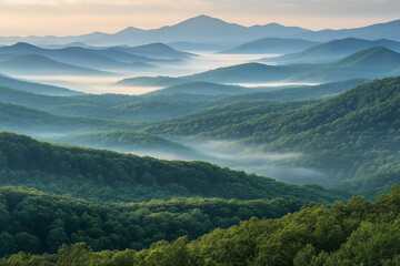 Fototapeta premium Majestätische hügelige Landschaft mit sanften Nebelschichten und Bergen im Hintergrund