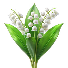 White lily On transparent background