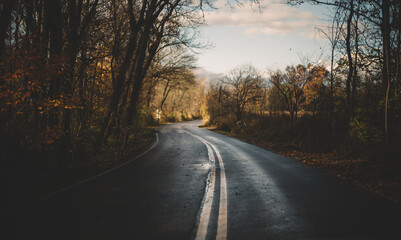 Obraz premium Scenic Winding Road Through Autumn Forest