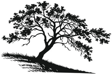 silhouette of a tree