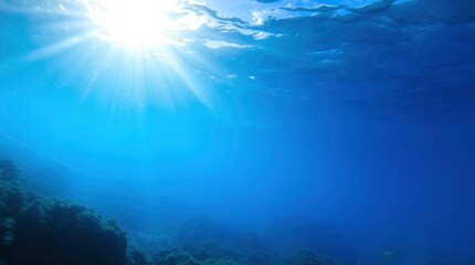 Explore the vibrant underwater world, showcasing marine life and coral reefs in all their beauty and diversity
