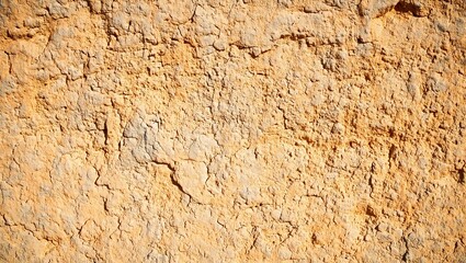 Obraz premium Warmly lit cracked adobe wall in the desert glowing in soft shades of orange and beige