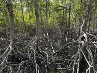 tourist attraction, Asia, scenery, large reservoir, Thailand, Phetchaburi, Prachuap Khiri Khan,...
