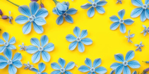 A delicate blue flower petals unfurl on a bright sunny yellow background, creating a stunning floral pattern, nature photography, spring flowers, yellow background