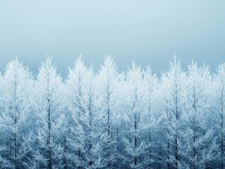 Ice storm turning a dense forest into a frozen wonderland, glittering branches and eerie beauty, captivating